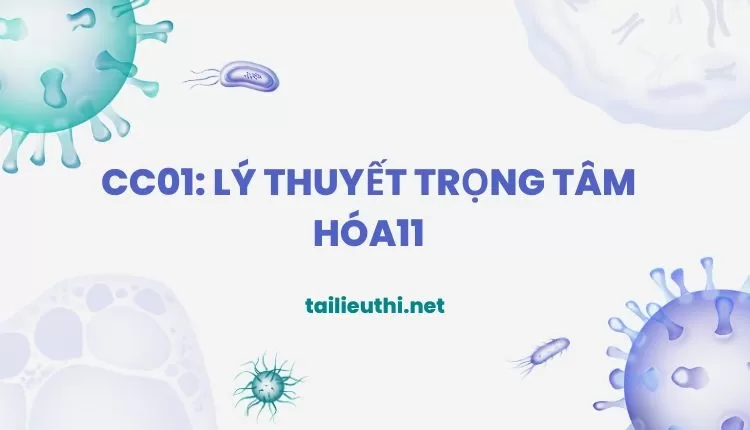 CC01: LÝ THUYẾT TRỌNG TÂM (đa dạng và chi tiết )...