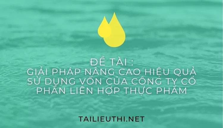 Giải pháp nâng cao hiệu quả sử dụng vốn của Công ty cổ phần Liên Hợp Thực Phẩm...