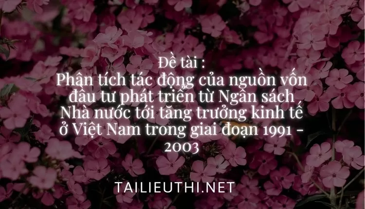 Nhà nước tới tăng trưởng kinh tế ở Việt Nam trong giai đoạn 1991 - 2003  ,.,