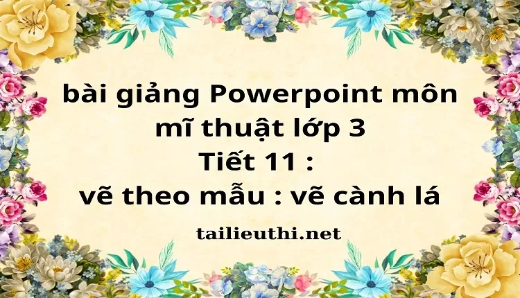 Tiết 11 : vẽ theo mẫu : vẽ cành lá