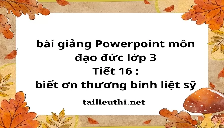 Tiết 16 : biết ơn thương binh liệt sỹ