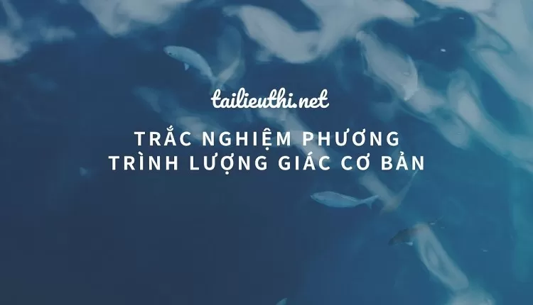 TRẮC NGHIỆM PHƯƠNG TRÌNH LƯỢNG GIÁC CƠ BẢN (hay và chi tiết )