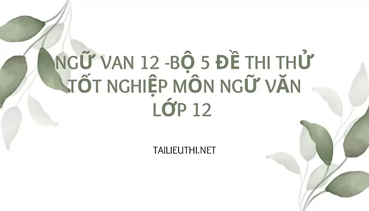 BỘ 5 ĐỀ THI THỬ TỐT NGHIỆP MÔN NGỮ VĂN LỚP 12