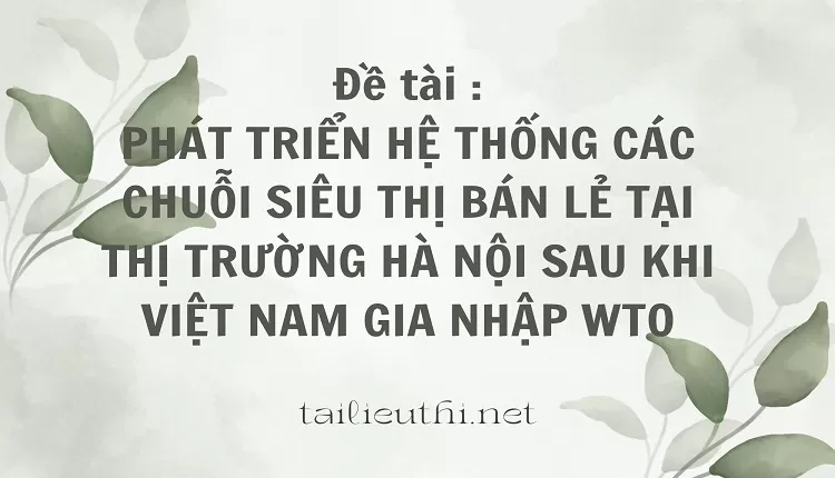 PHÁT TRIỂN HỆ THỐNG CÁC CHUỖI SIÊU THỊ BÁN LẺ ,...