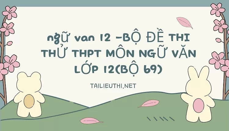 BỘ ĐỀ THI THỬ THPT MÔN NGỮ VĂN LỚP 12(BỘ 69)