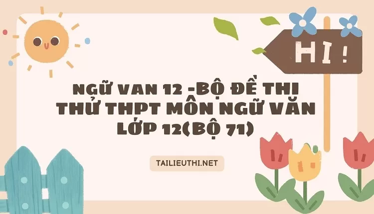 BỘ ĐỀ THI THỬ THPT MÔN NGỮ VĂN LỚP 12(BỘ 71)