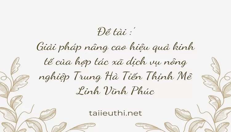 kinh tế của hợp tác xã dịch vụ nông nghiệp Trung Hà Tiến Thịnh Mê Linh Vĩnh Phúc,,..