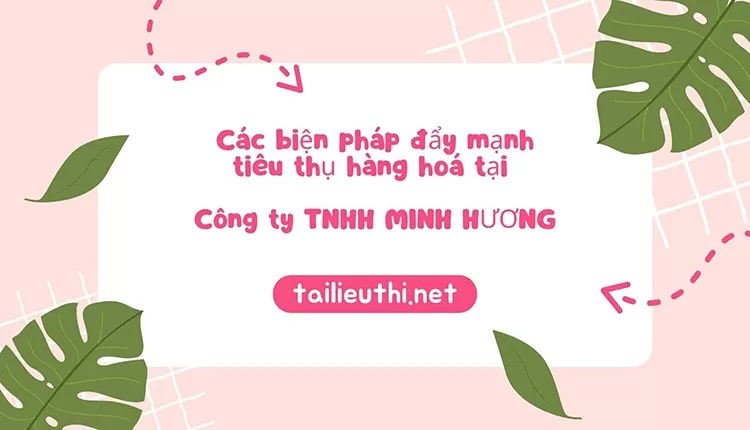 Các biện pháp đẩy mạnh tiêu thụ hàng hoá tại Công ty TNHH MINH HƯƠNG