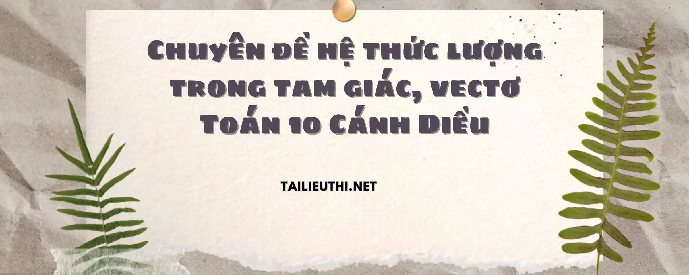 Chuyên đề hệ thức lượng trong tam giác, vectơ Toán 10 Cánh Diều