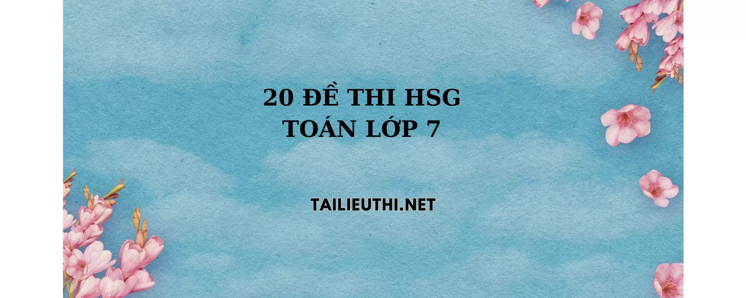 20 đề thi hsg toán lớp 7