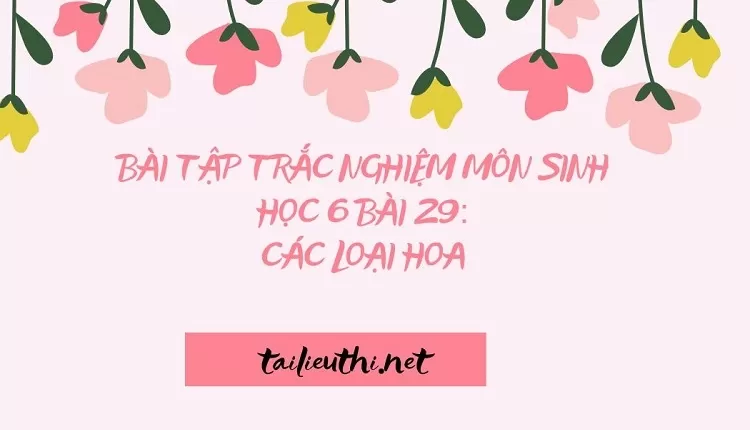 BÀI TẬP TRẮC NGHIỆM MÔN SINH HỌC 6 BÀI 29: CÁC LOẠI HOA