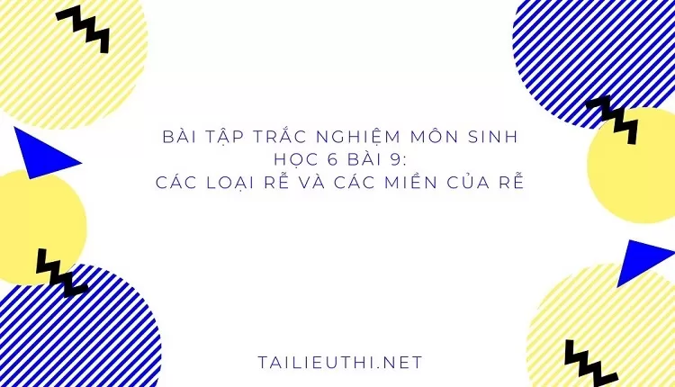 BÀI TẬP TRẮC NGHIỆM MÔN SINH HỌC 6 BÀI 9: CÁC LOẠI RỄ VÀ CÁC MIỀN CỦA RỄ