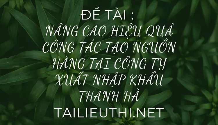 nâng cao hiệu quả công tác tạo nguồn hàng tại công ty xuất nhập khẩu thanh hà