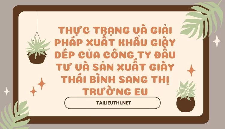 Giải pháp xuất khẩu giày dép của công ty đầu tư và sản xuất giày Thái Bình sang thị trường EU