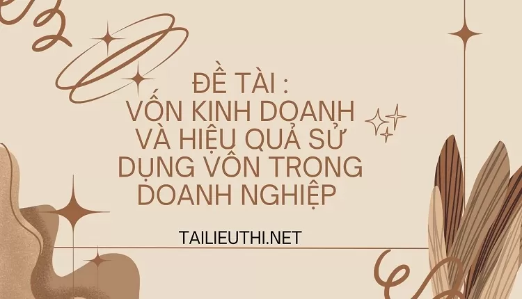 Vốn kinh doanh và hiệu quả sử dụng vốn trong doanh nghiệp...