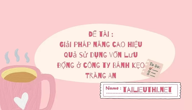 Giải pháp nâng cao hiệu quả sử dụng vốn lưu động ở công ty Bánh kẹo Tràng An .......