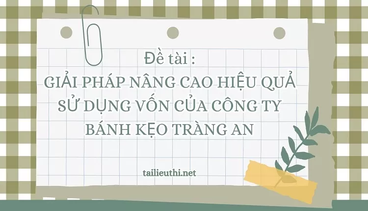 SỬ DỤNG VỐN CỦA CÔNG TY BÁNH KẸO TRÀNG AN....