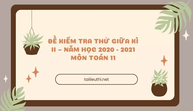 ĐỀ KIỂM TRA THỬ GIỮA KÌ II – NĂM HỌC 2020 - 2021 MÔN TOÁN 11