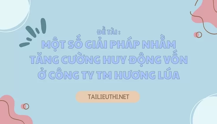 Một số giải pháp nhằm tăng cường huy động vốn ở Công ty TM Hương Lúa..