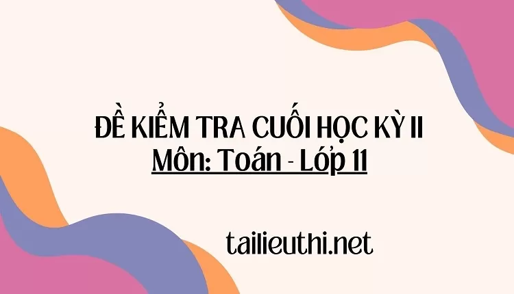 ĐỀ KIỂM TRA CUỐI HỌC KỲ II Môn: Toán - Lớp 11