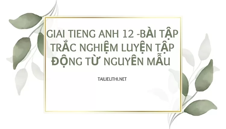 BÀI TẬP TRẮC NGHIỆM LUYỆN TẬP ĐỘNG TỪ NGUYÊN MẪU