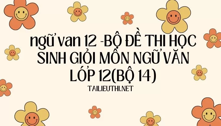 BỘ ĐỀ THI HỌC SINH GIỎI MÔN NGỮ VĂN LỚP 12(BỘ 14)