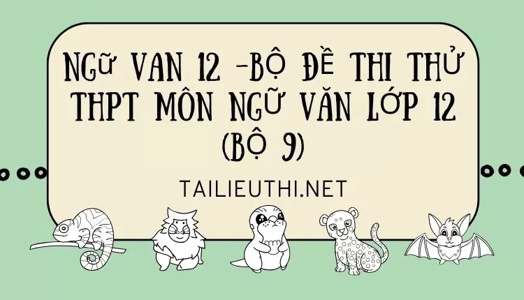 BỘ ĐỀ THI THỬ THPT MÔN NGỮ VĂN LỚP 12 (BỘ 9)