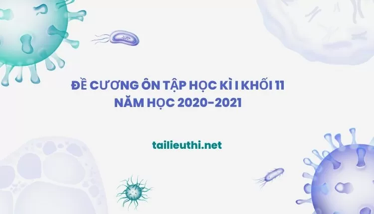 ĐỀ CƯƠNG ÔN TẬP HỌC KÌ I KHỐI 11 NĂM HỌC 2020-2021 (đa dạng và chi tiết)