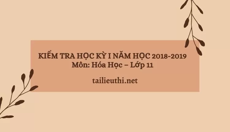 KIỂM TRA HỌC KỲ I NĂM HỌC 2018-2019 Môn: Hóa Học – Lớp 11 (đa dạng các đề )...