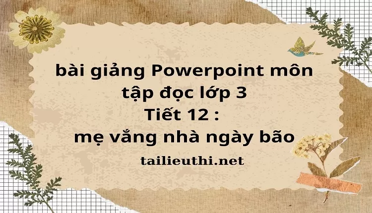 Tiết 12 : mẹ vắng nhà ngày bão