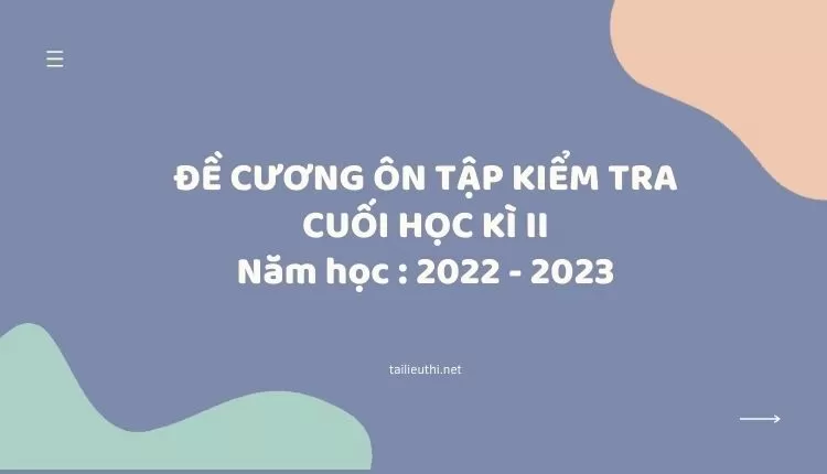 ĐỀ CƯƠNG ÔN TẬP KIỂM TRA CUỐI HỌC KÌ II Năm học : 2022 - 2023 địa lí 11