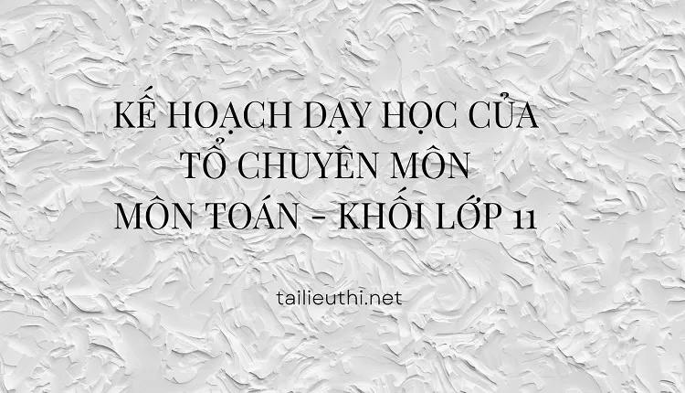 KẾ HOẠCH DẠY HỌC CỦA TỔ CHUYÊN MÔN MÔN TOÁN - KHỐI LỚP 11(hay,chi tiết )