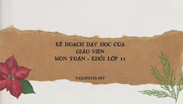 KẾ HOẠCH DẠY HỌC CỦA GIÁO VIÊN MÔN TOÁN - KHỐI LỚP 11(chi tiết ,hay )