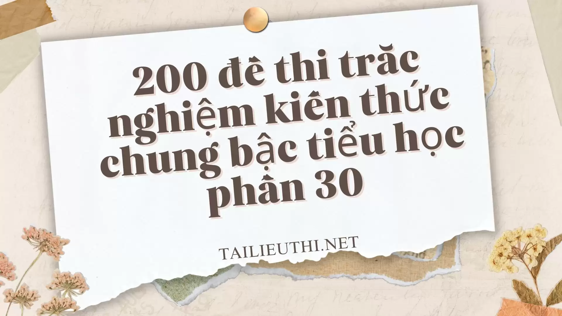 200 đề thi trắc nghiệm kiến thức chung bậc tiểu học phần 30