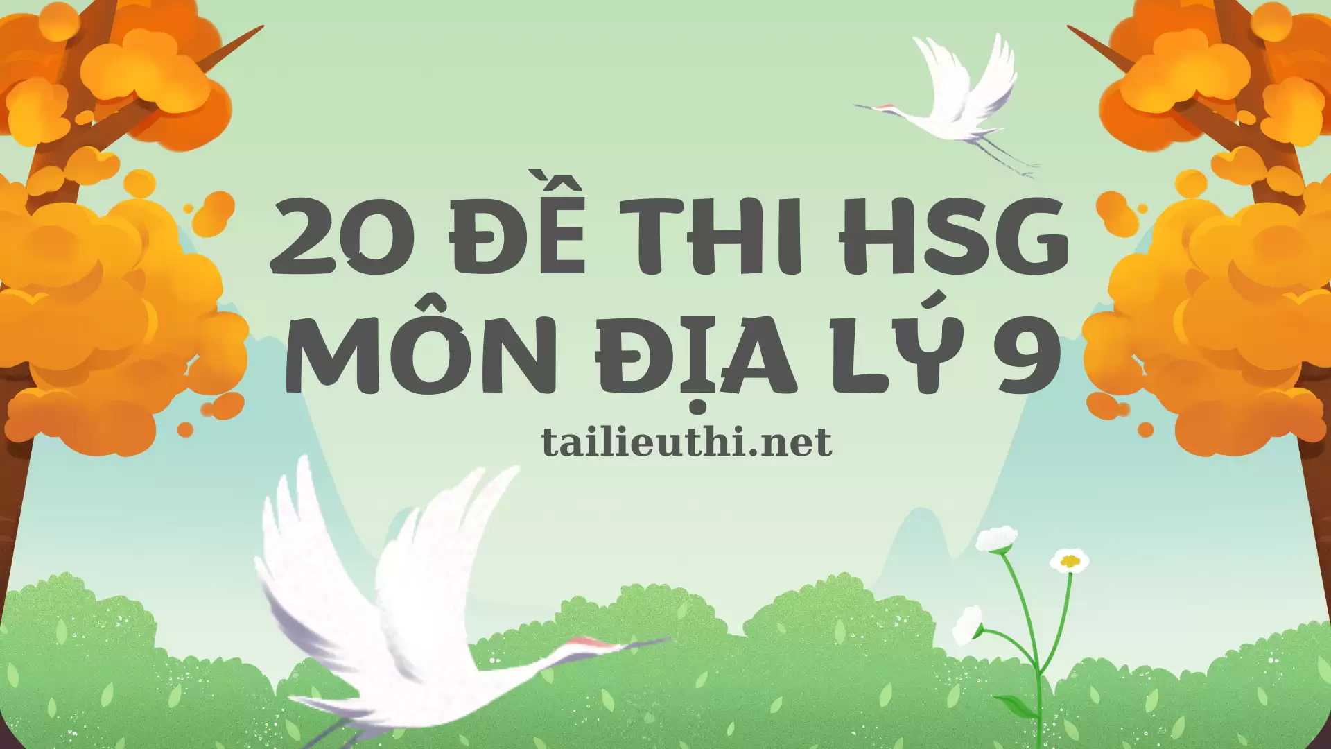 Bộ 20 đề thi Học sinh giỏi môn Địa Lý 9 (có đáp án)