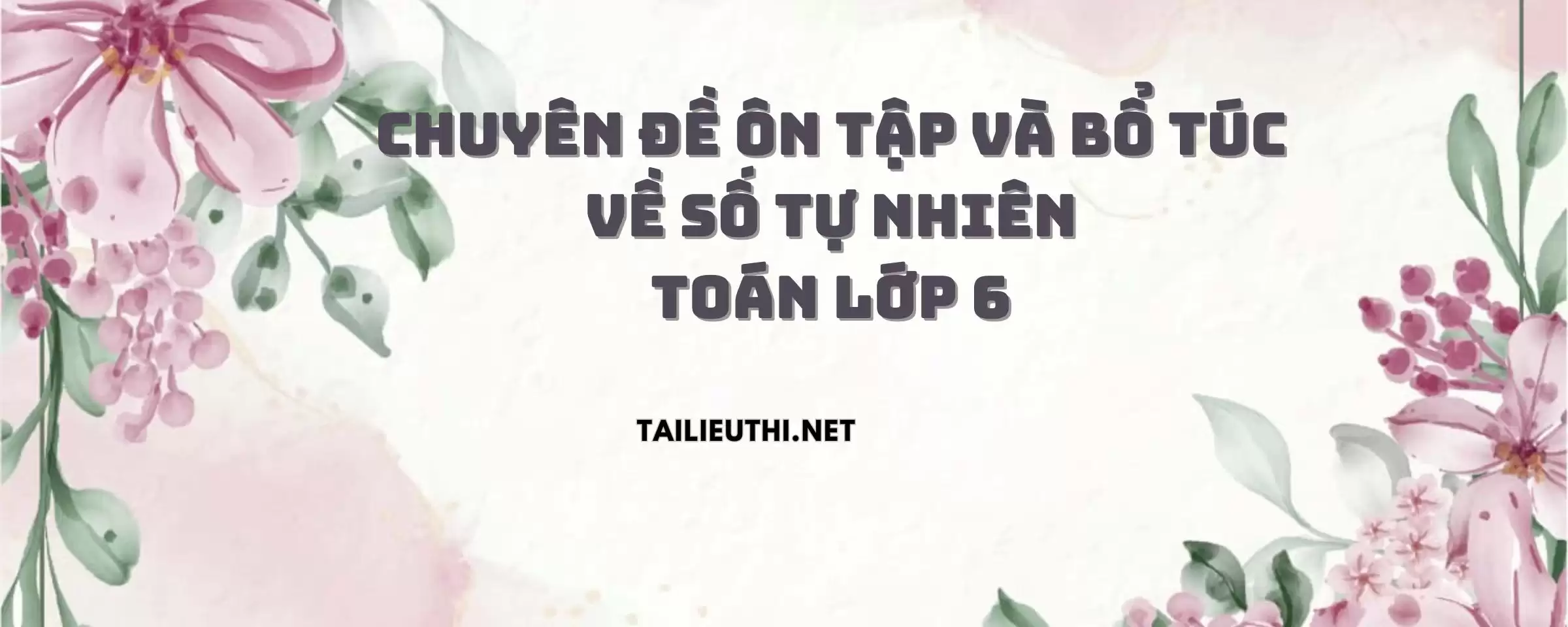 Chuyên đề ôn tập và bổ túc về số tự nhiên.