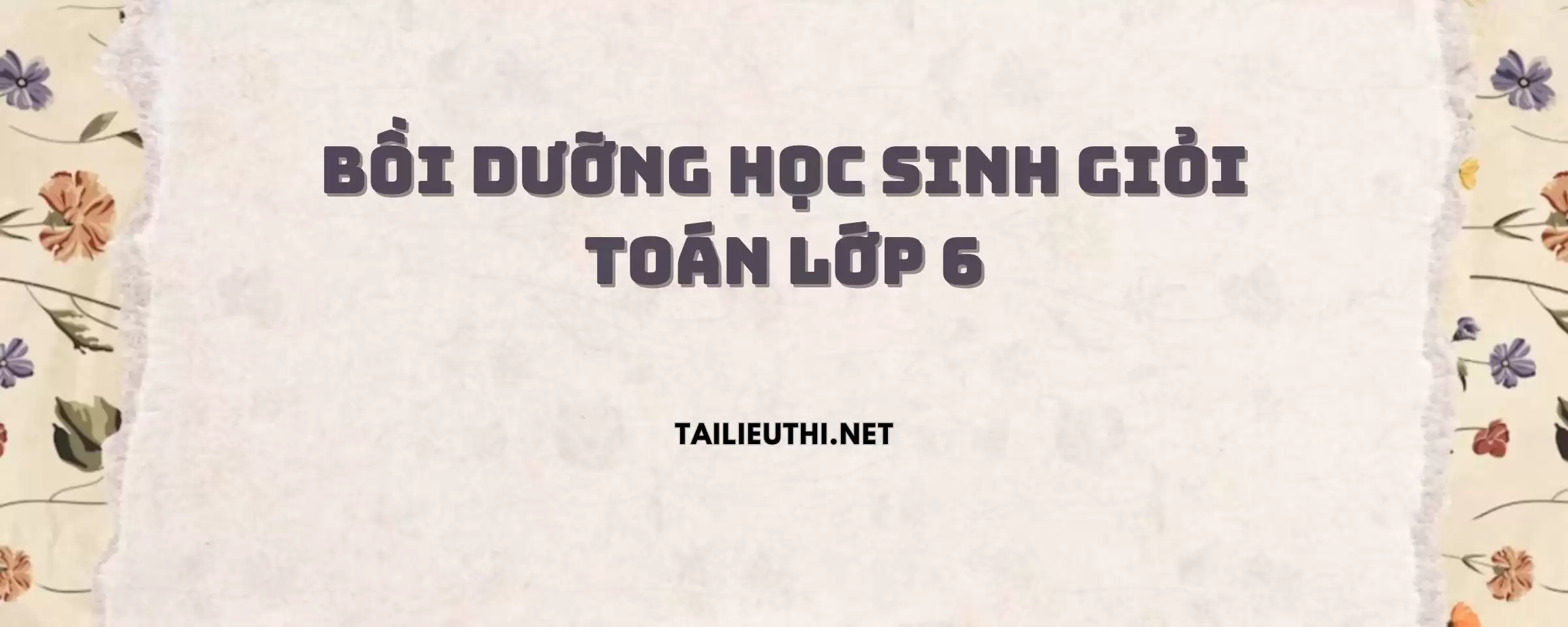 Các Chuyên Đề Bồi Dưỡng Học Sinh Giỏi Toán 6.