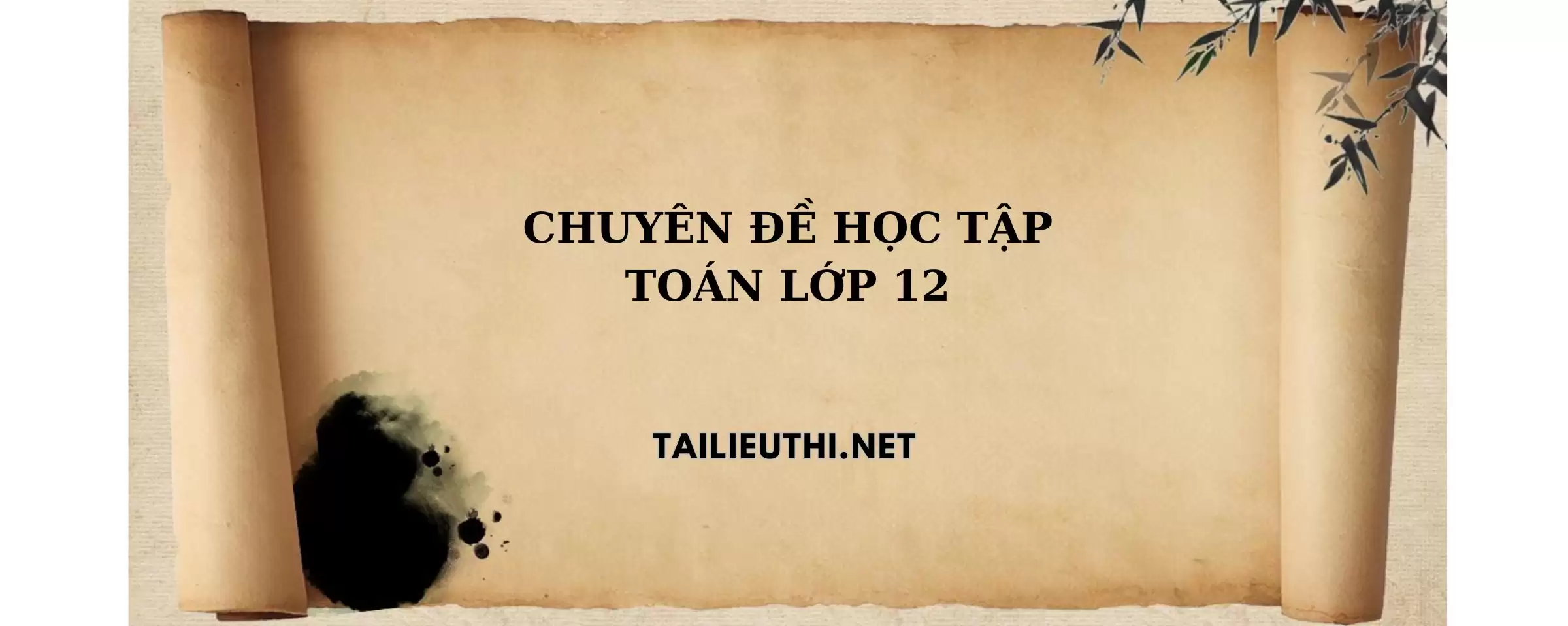 Chuyên đề học tập toán lớp 12