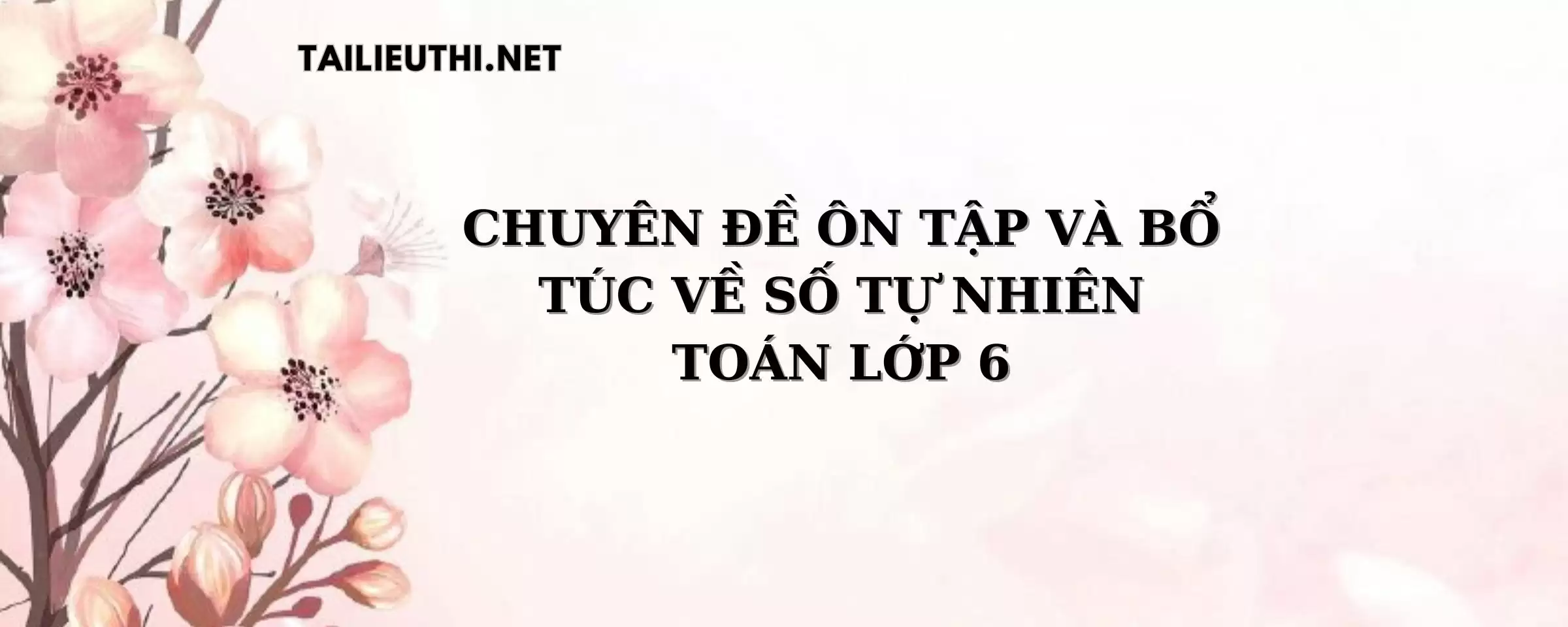 CHUYÊN ĐỀ ÔN TẬP VÀ BỔ TÚC VỀ SỐ TỰ NHIÊN LỚP 6