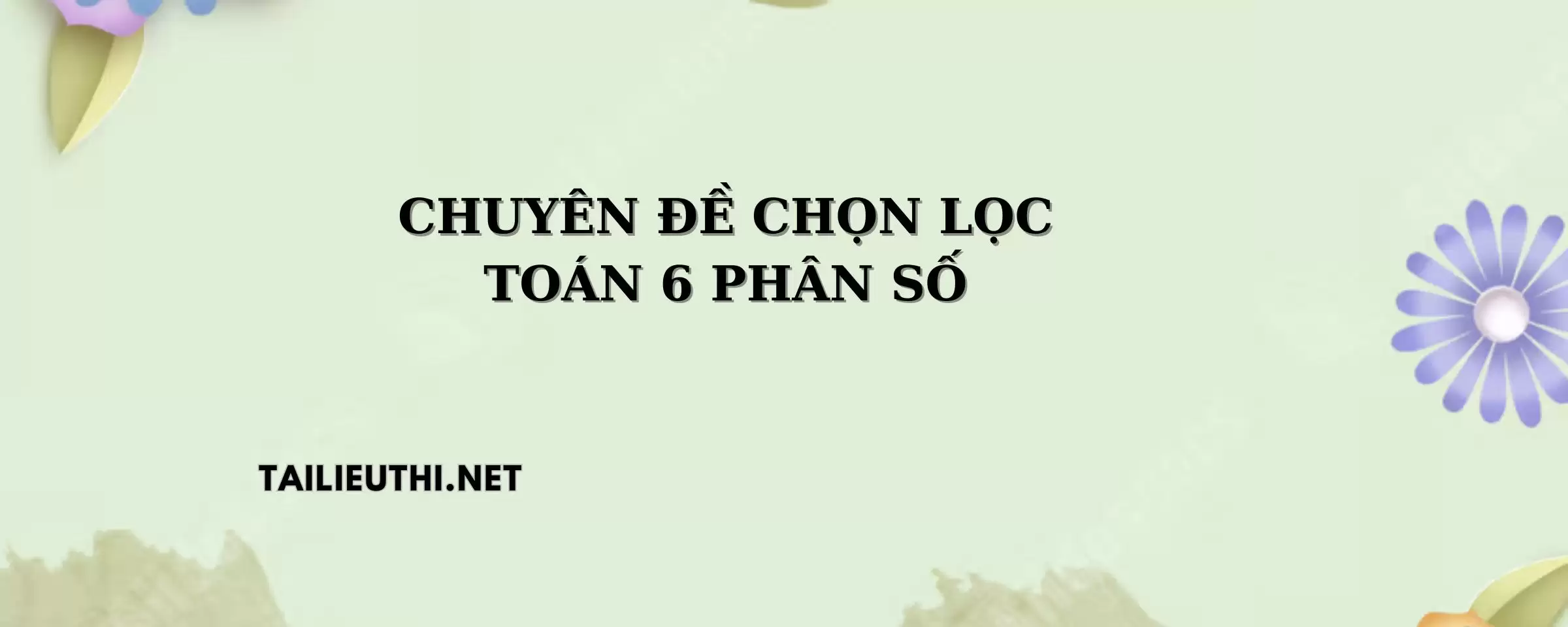 CHUYÊN ĐỀ VỀ PHÂN SỐ