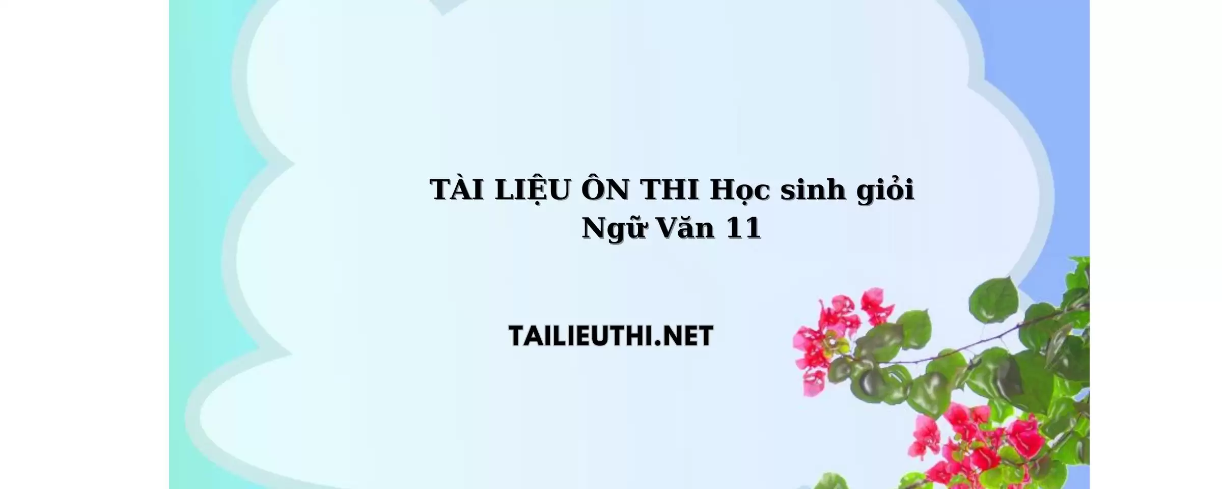 TÀI LIỆU ÔN THI HSG NGỮ VĂN LỚP 11