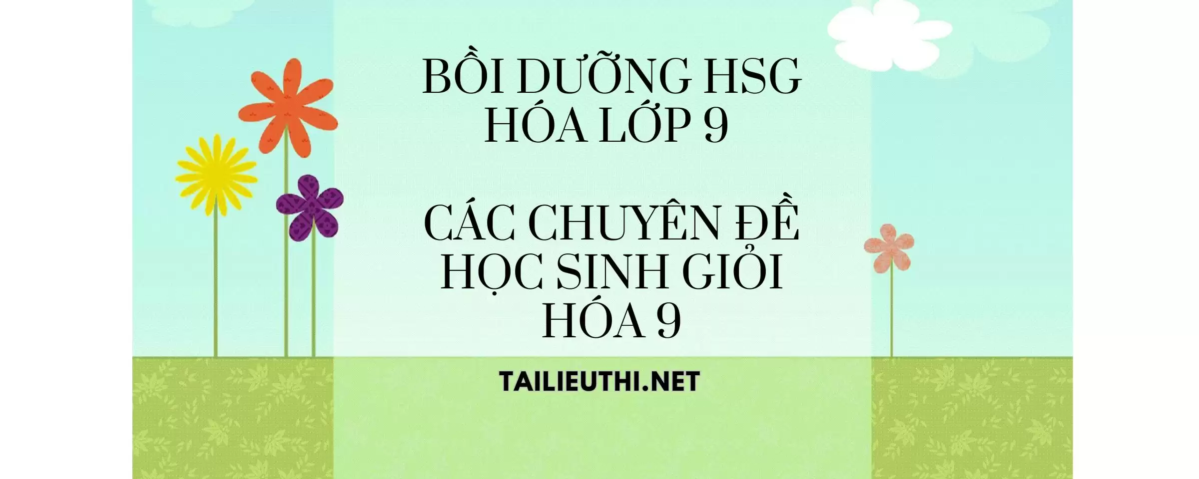 Các chuyên đề ôn HSG hóa lớp 9