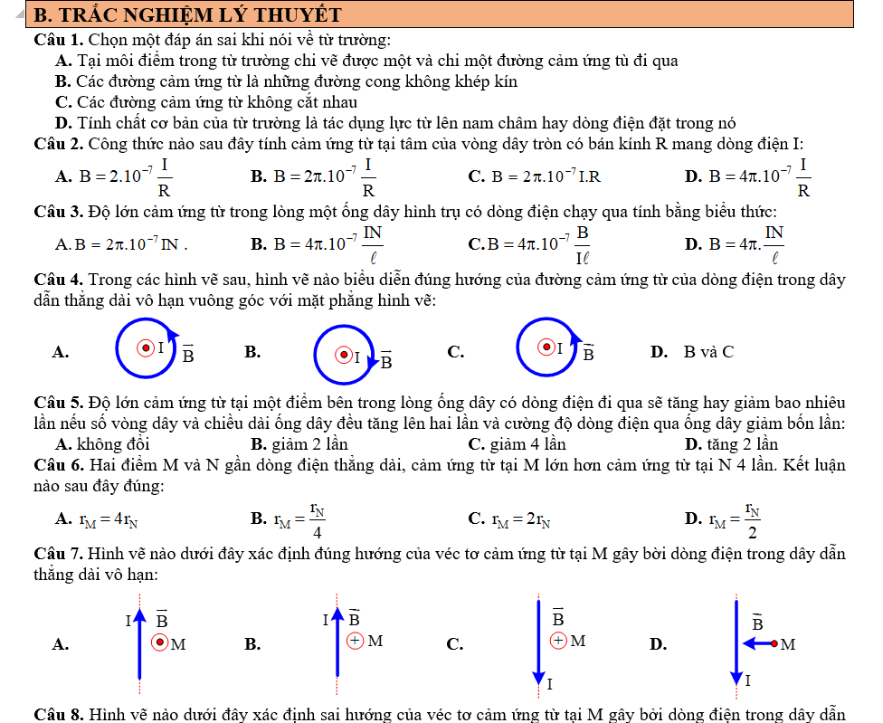 sgk ly 11